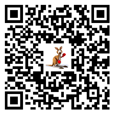 袋鼠帝AI客栈